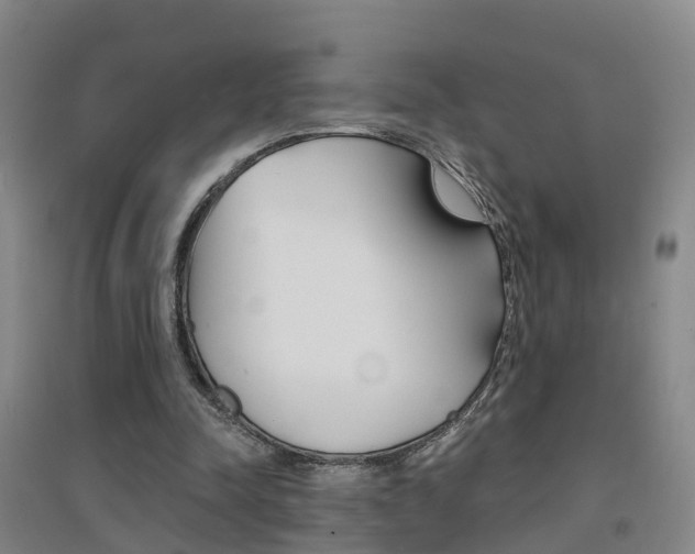 X0000094460342200711081104