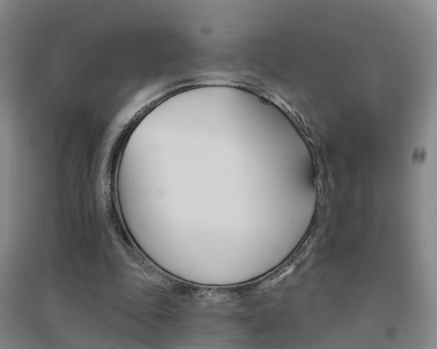 X0000094460343200711081104