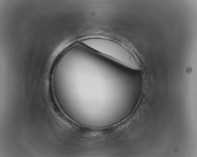 X0000094460344200711081104