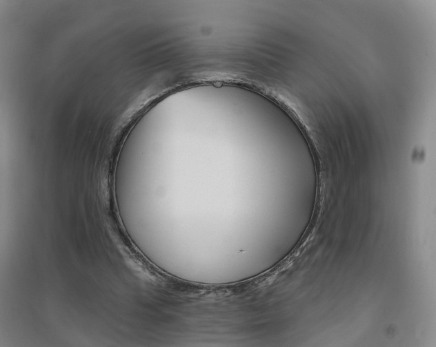 X0000094460345200711081104