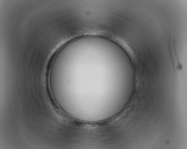 X0000094460346200711081104