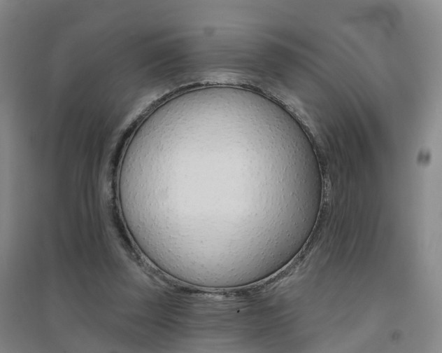 X0000094460347200711081104