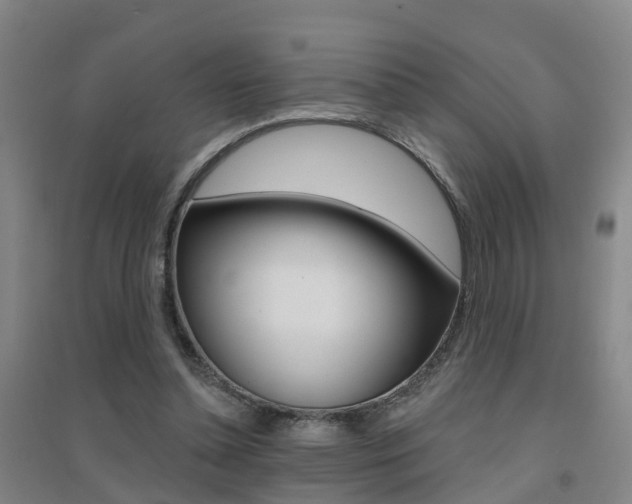 X0000094460348200711081104