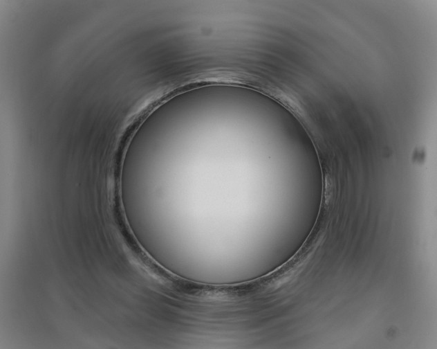 X0000094460349200711081104