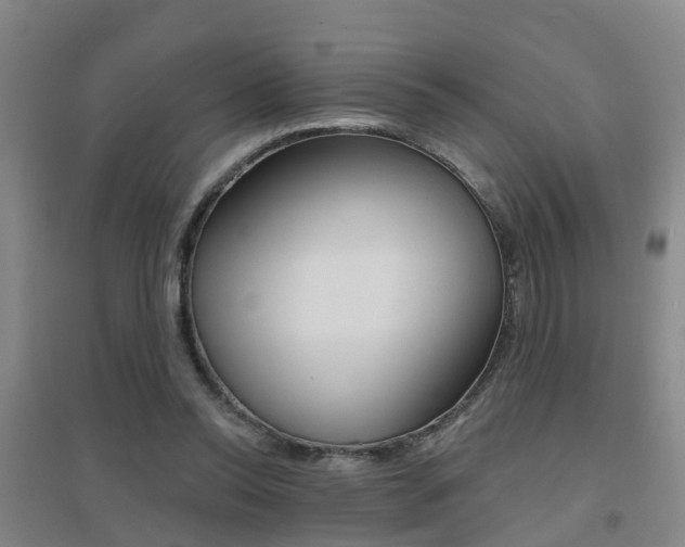X0000094460350200711081104