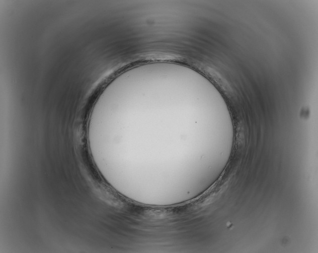 X0000094460351200711081104
