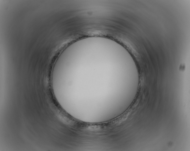 X0000094460353200711081104