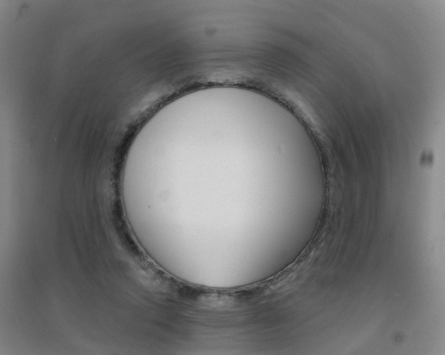 X0000094460354200711081104