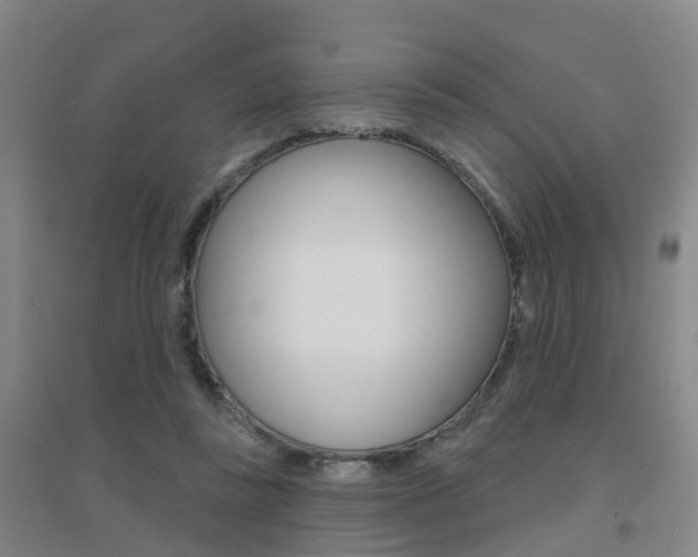X0000094460355200711081104