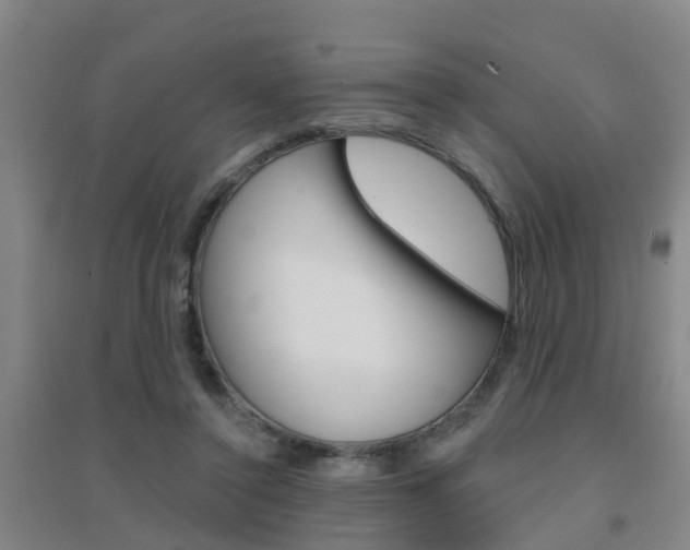 X0000094460356200711081104
