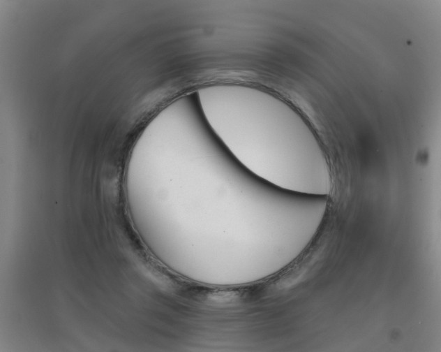 X0000094460357200711081104