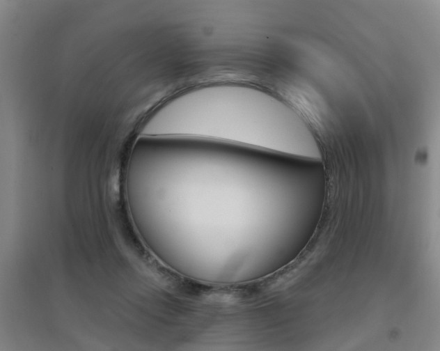X0000094460358200711081104