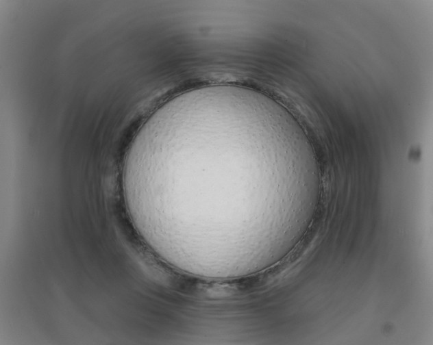 X0000094460359200711081104