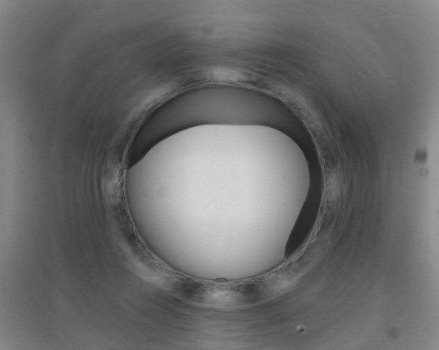 X0000094460360200711081104