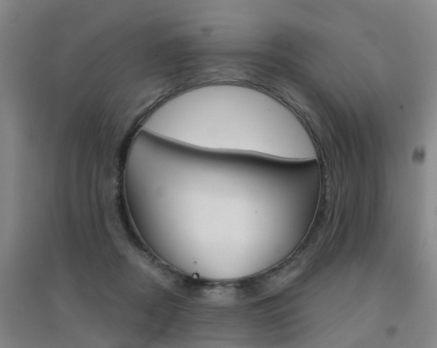 X0000094460362200711081104