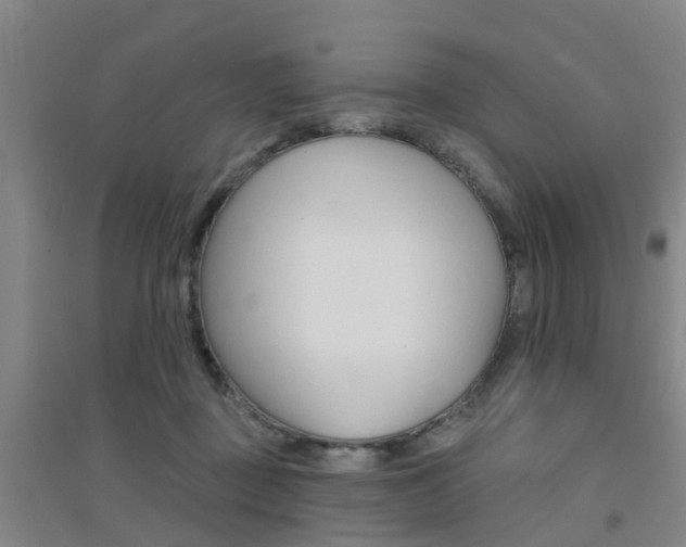 X0000094460363200711081104