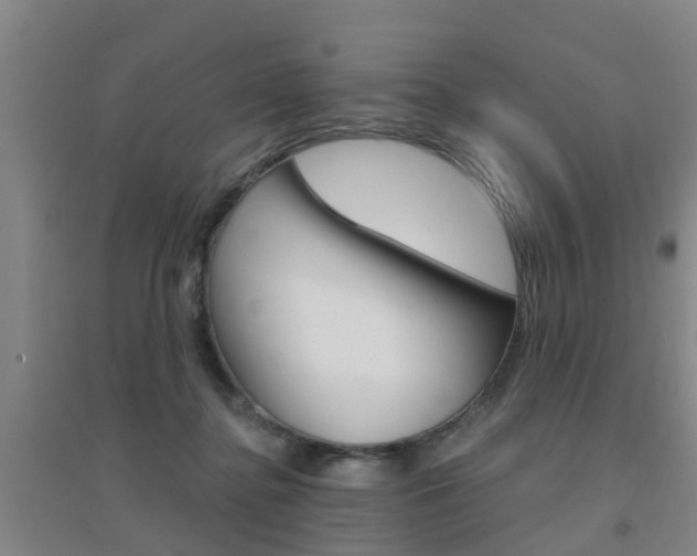 X0000094460364200711081104