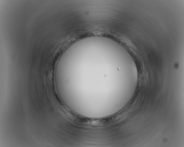 X0000094460365200711081104
