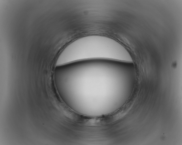 X0000094460366200711081104