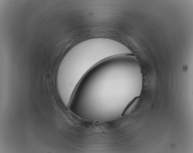X0000094460368200711081104