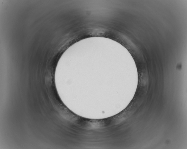 X0000094460370200711081104
