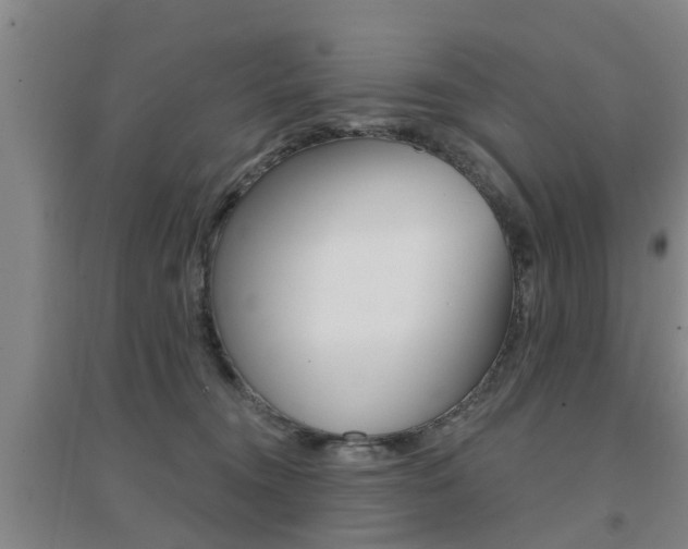 X0000094460372200711081104