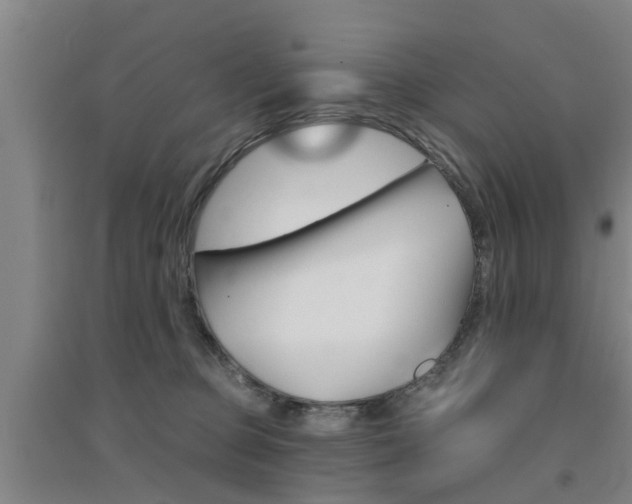 X0000094460373200711081104