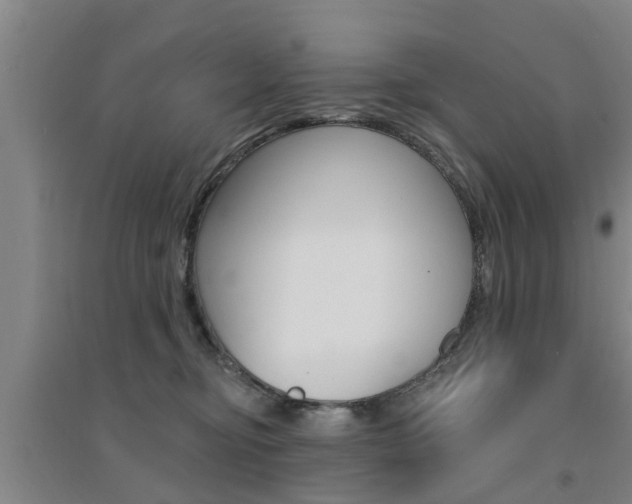 X0000094460374200711081104