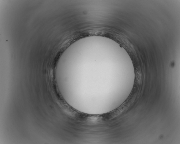 X0000094460375200711081104