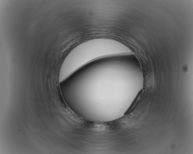 X0000094460376200711081104