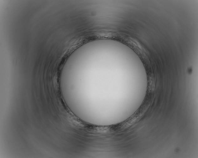 X0000094460377200711081104