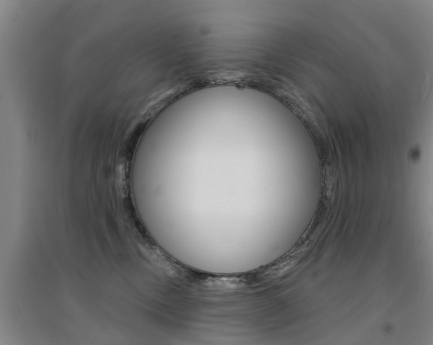 X0000094460378200711081104