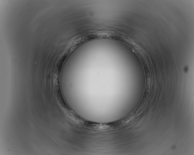 X0000094460379200711081105