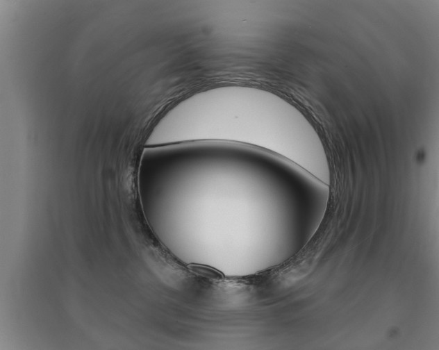 X0000094460380200711081105