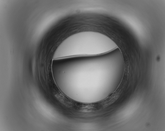 X0000094460382200711081105