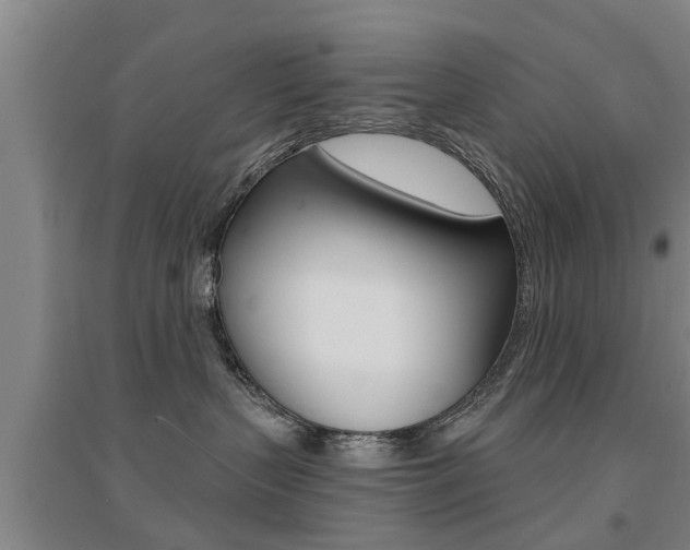 X0000094460383200711081105