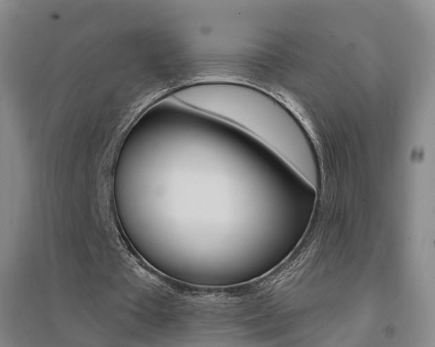 X0000094460385200711081104