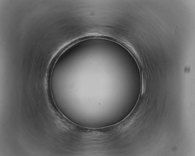 X0000094460387200711081104