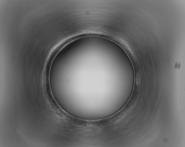 X0000094460388200711081104