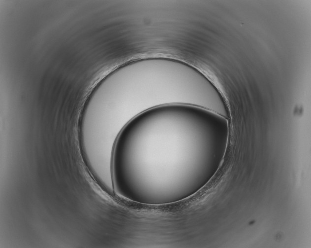 X0000094460389200711081104