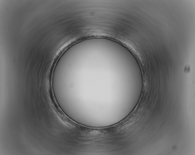 X0000094460390200711081104