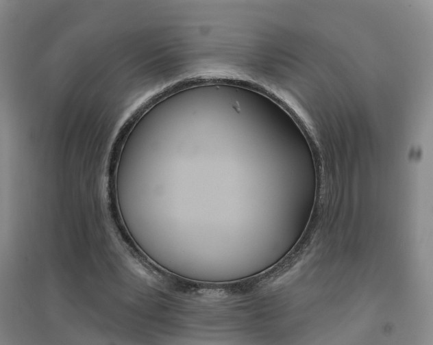 X0000094460391200711081104