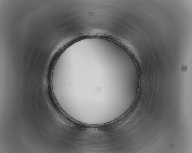 X0000094460392200711081104