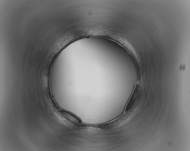 X0000094460393200711081104