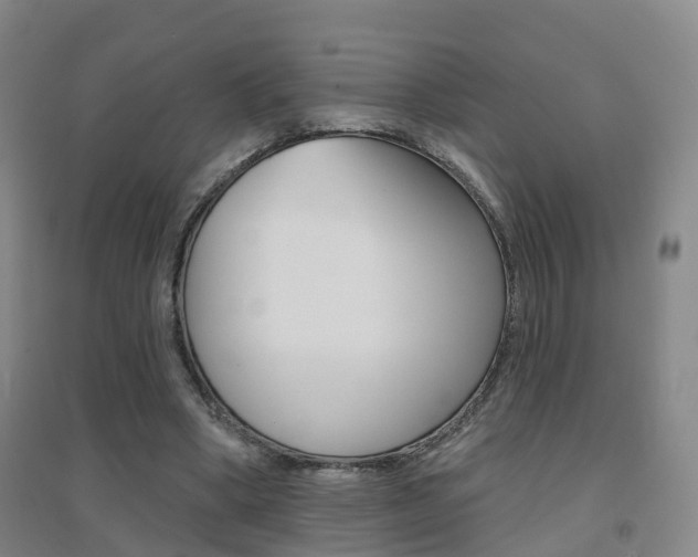 X0000094460394200711081104