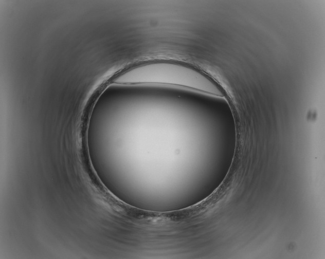 X0000094460395200711081104