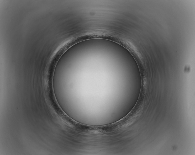 X0000094460396200711081104