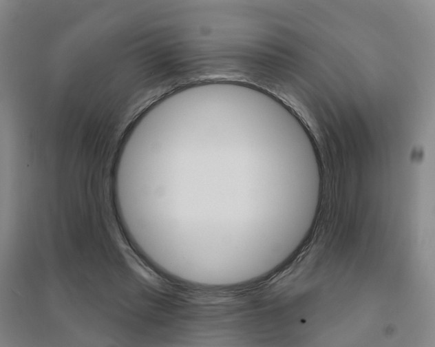 X0000094460397200711081104
