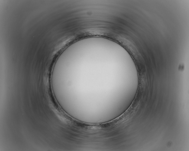 X0000094460398200711081104