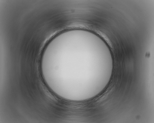 X0000094460399200711081104